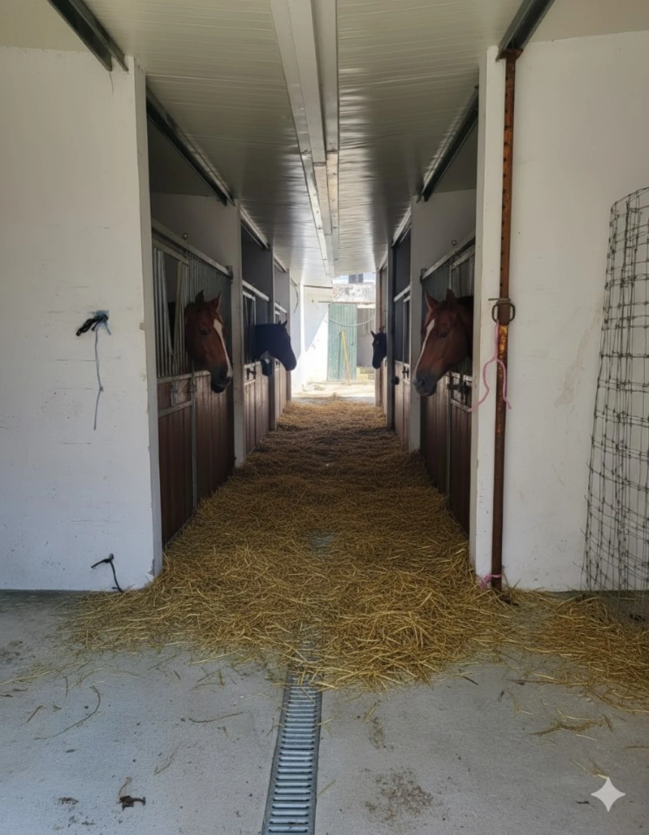 Moradia T5 para Venda em Golegã Foto 27