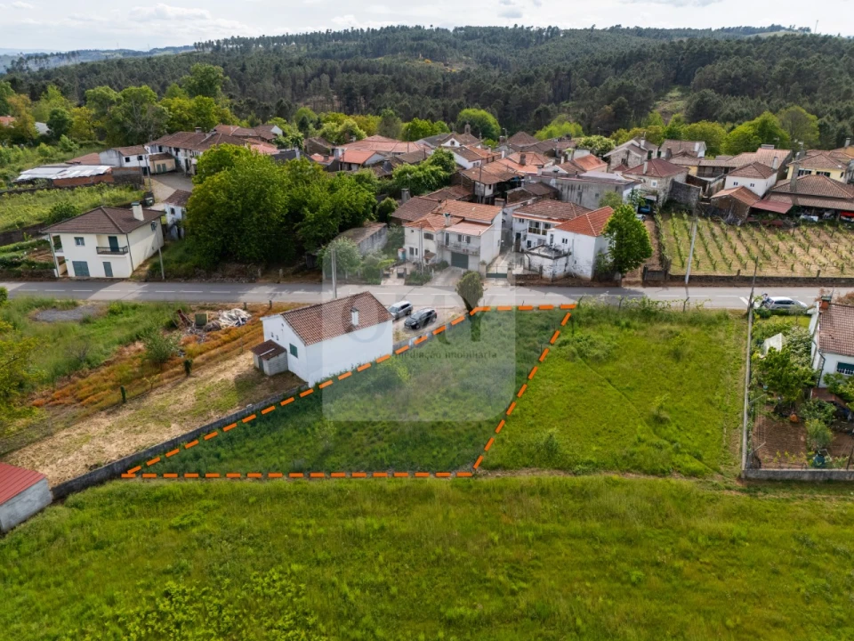 Terreno para Venda em São Martinho de Antas e Paradela de Guiães Foto 3