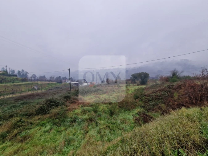 Terreno para Venda em Lufrei Foto 3