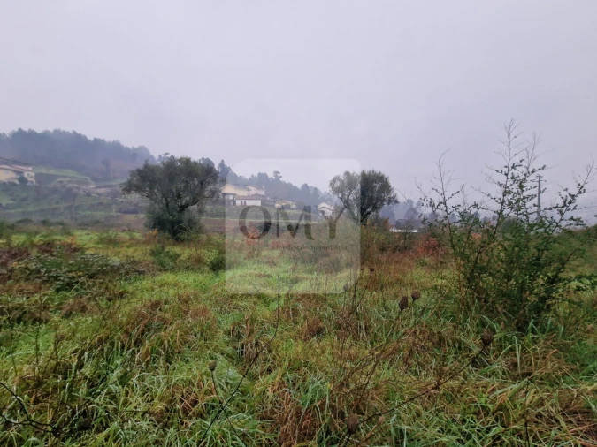 Terreno para Venda em Lufrei Foto 6