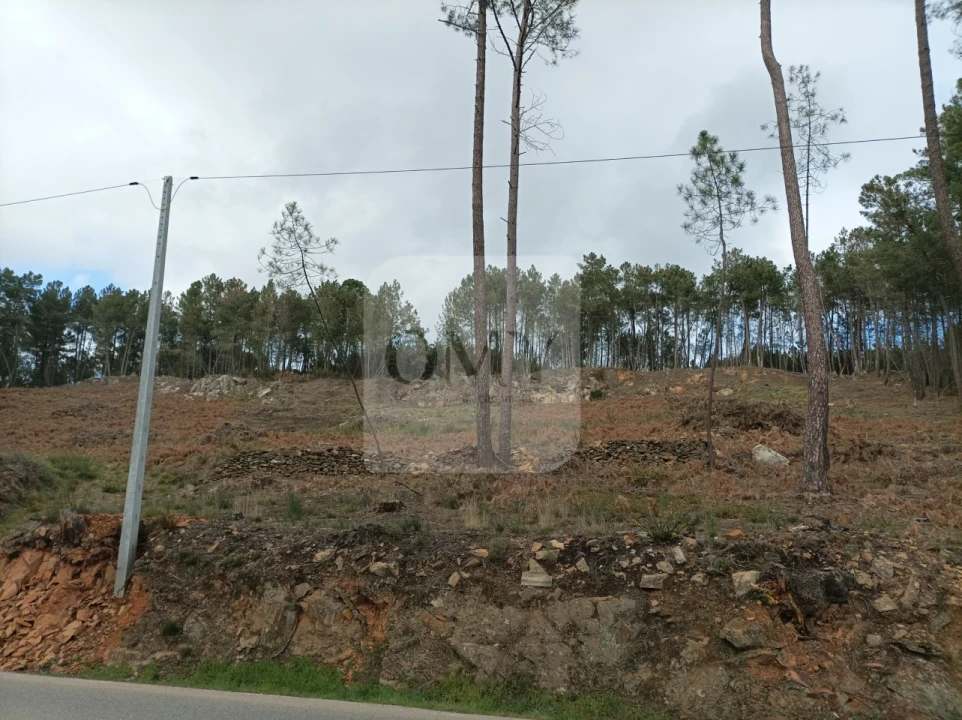 Terreno para Arrendamento em Constantim e Vale de Nogueiras Foto 4