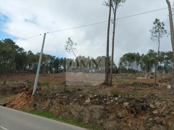 Terreno para Arrendamento em Constantim e Vale de Nogueiras Foto 5