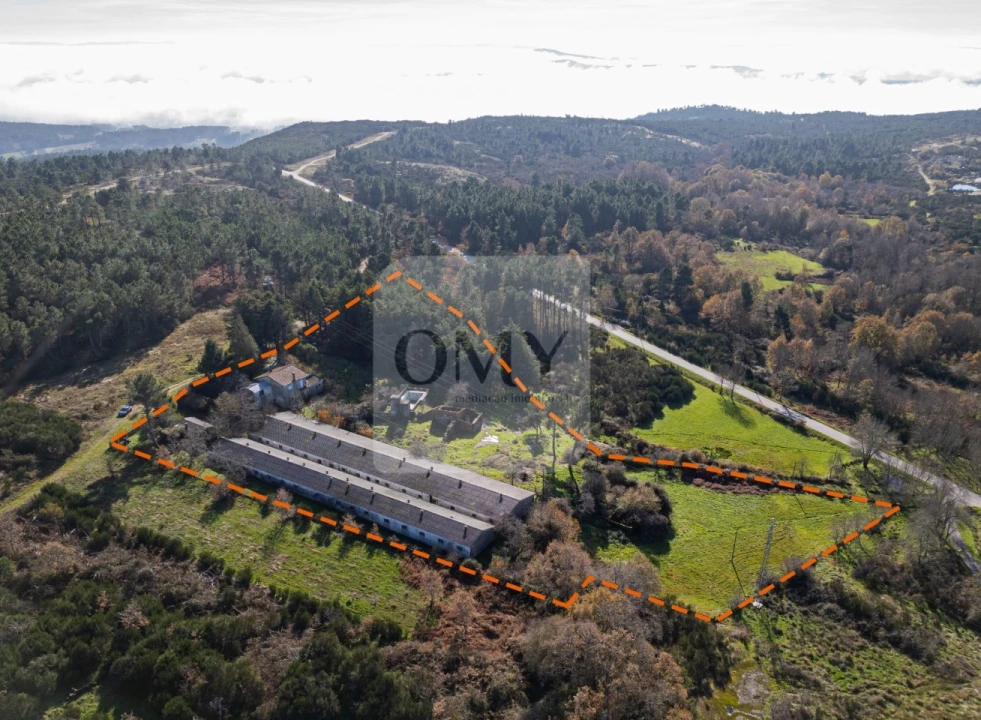 Moradia T3 para Venda em São Lourenço de Ribapinhão Foto 1