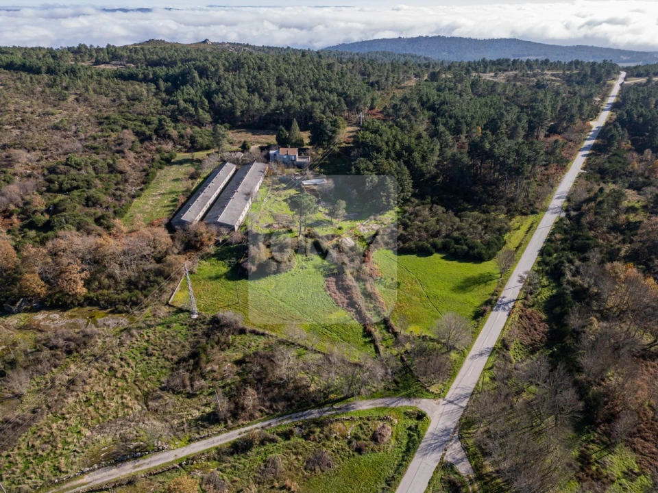 Moradia T3 para Venda em São Lourenço de Ribapinhão Foto 2