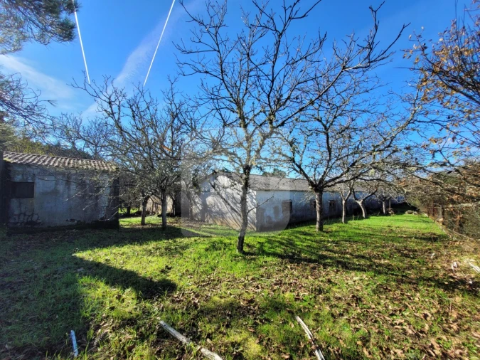 Moradia T3 para Venda em São Lourenço de Ribapinhão Foto 14