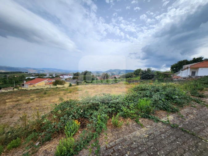 Terreno para Venda em Sabrosa Foto 9