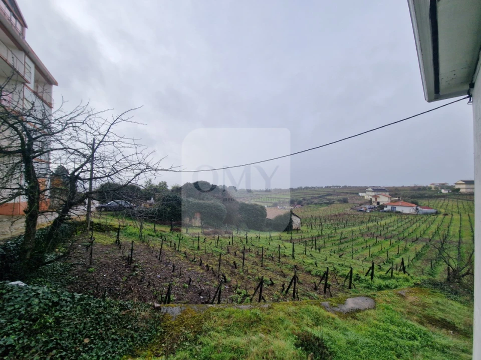 Loja para Venda em Sanfins do Douro Foto 4