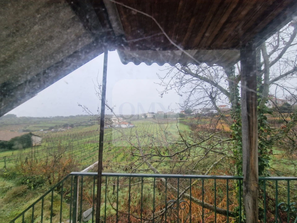 Loja para Venda em Sanfins do Douro Foto 8