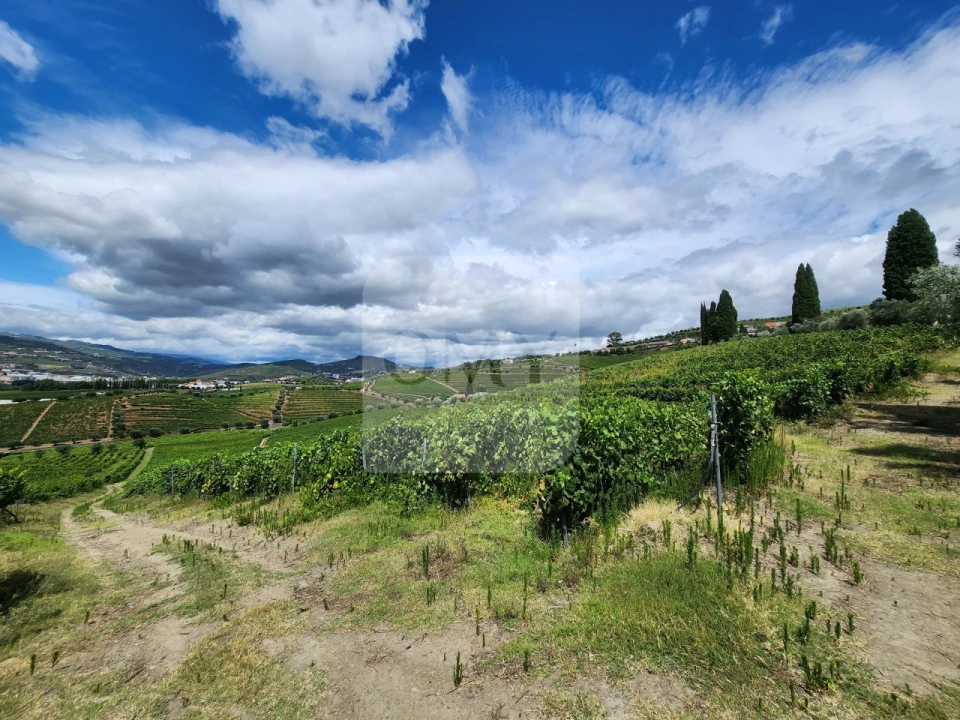 Quinta para Venda em Cambres Foto 8