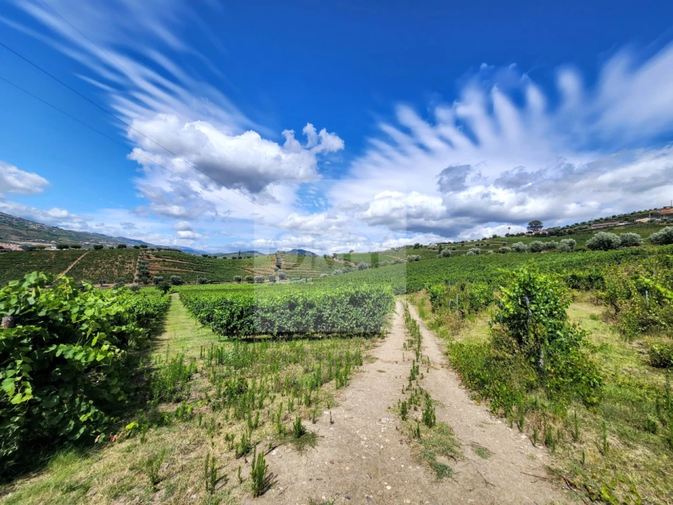 Quinta para Venda em Cambres Foto 15