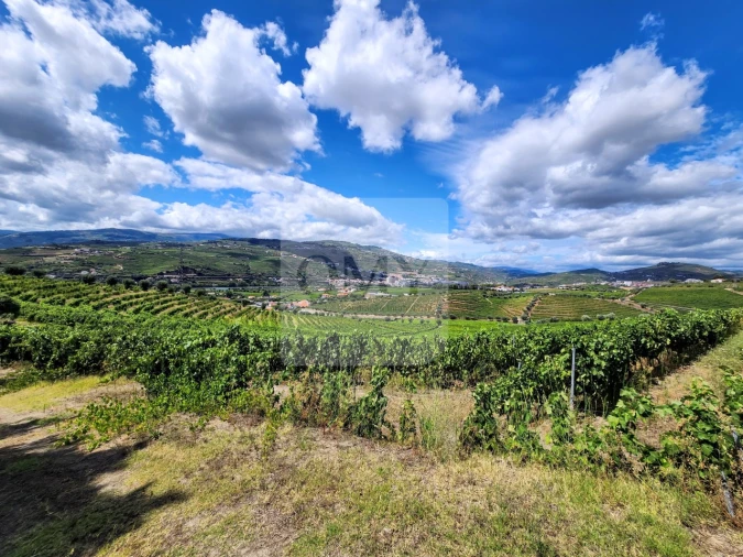 Quinta para Venda em Cambres Foto 5