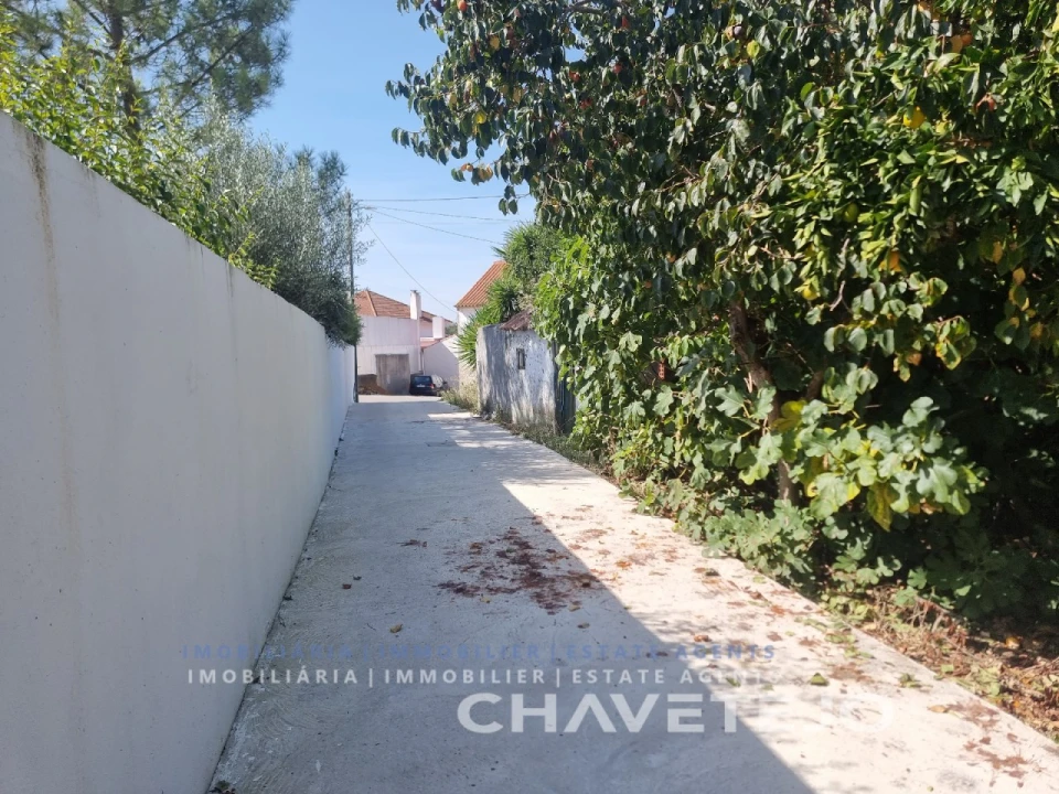 Moradia T3 para Venda em Paialvo Foto 48