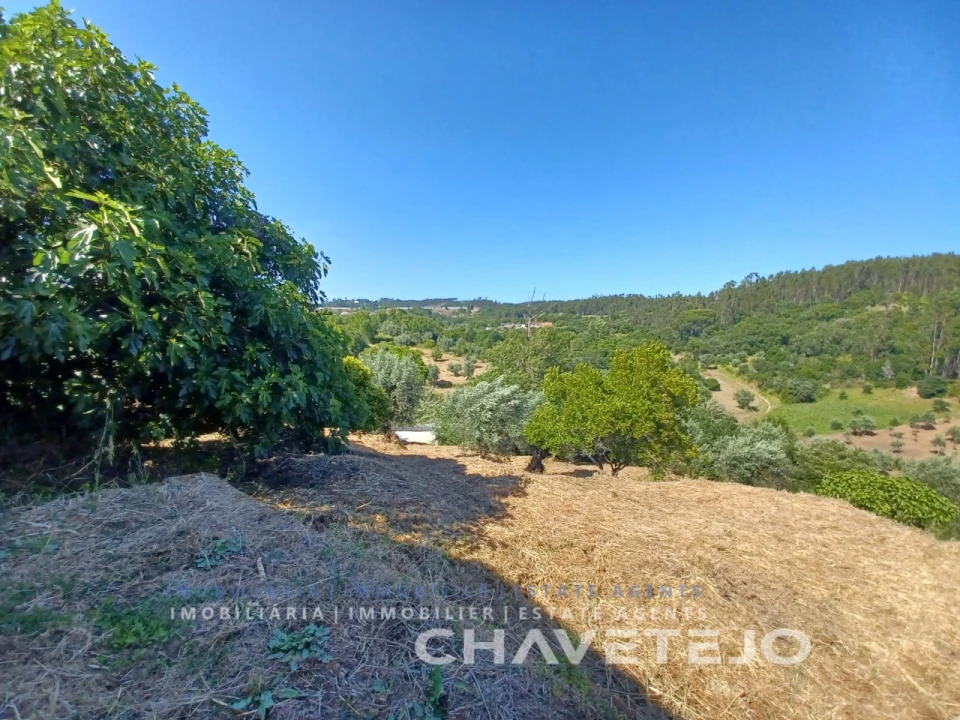 Moradia T3 para Venda em Casais e Alviobeira Foto 47