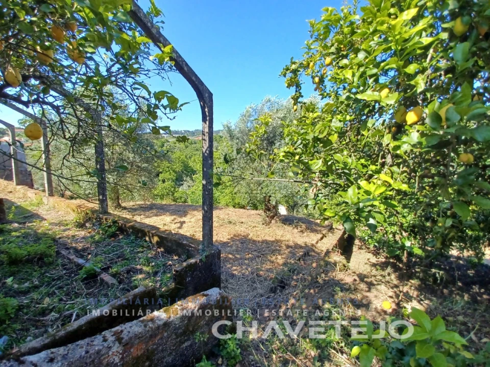 Moradia T3 para Venda em Casais e Alviobeira Foto 50