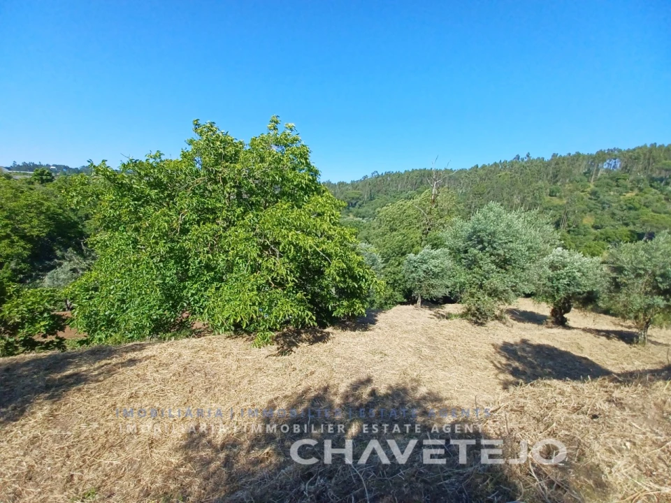 Moradia T3 para Venda em Casais e Alviobeira Foto 52