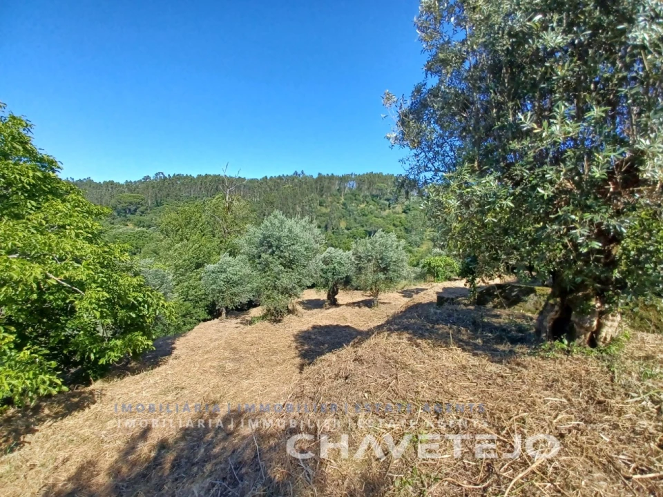 Moradia T3 para Venda em Casais e Alviobeira Foto 9