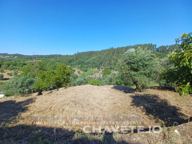 Moradia T3 para Venda em Casais e Alviobeira Foto 48