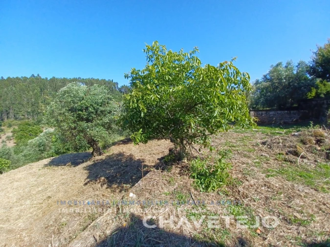 Moradia T3 para Venda em Casais e Alviobeira Foto 49