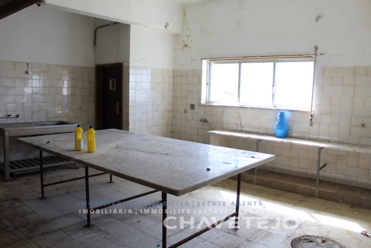 Negócio para Venda em Carregueiros Foto 26