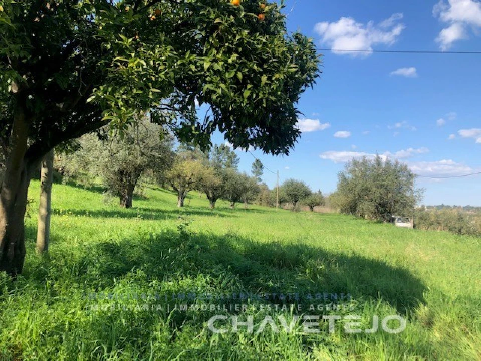 Moradia T2 para Venda em São João Baptista e Santa Maria dos Olivais Foto 22