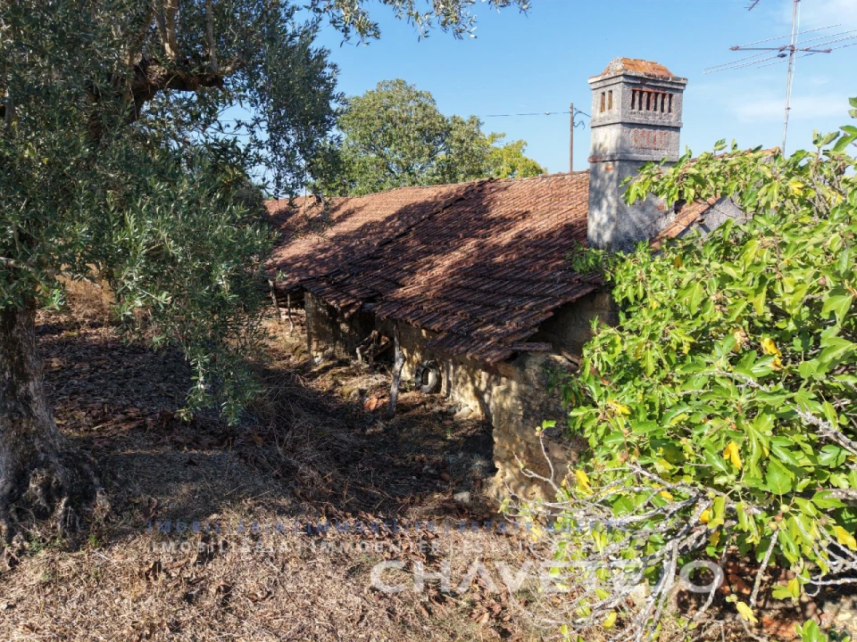 Moradia T2 para Venda em São João Baptista e Santa Maria dos Olivais Foto 6