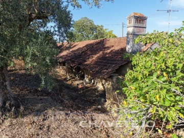 Moradia T2 para Venda em São João Baptista e Santa Maria dos Olivais