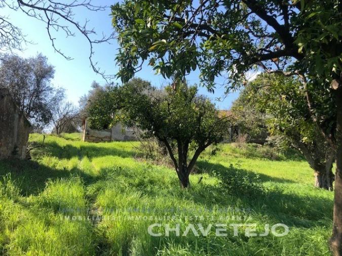 Moradia T2 para Venda em São João Baptista e Santa Maria dos Olivais Foto 7