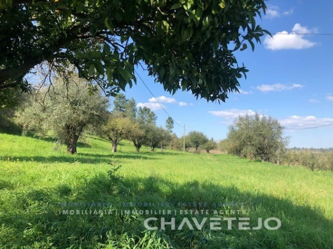 Moradia T2 para Venda em São João Baptista e Santa Maria dos Olivais Foto 8