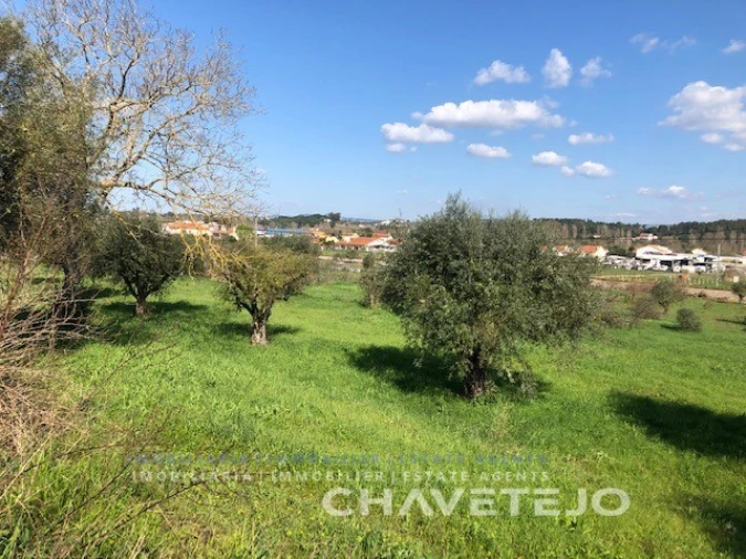 Moradia T2 para Venda em São João Baptista e Santa Maria dos Olivais Foto 10