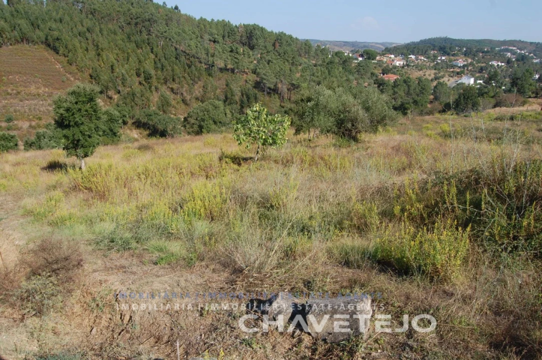 Terreno para Venda em São Pedro de Tomar Foto 3