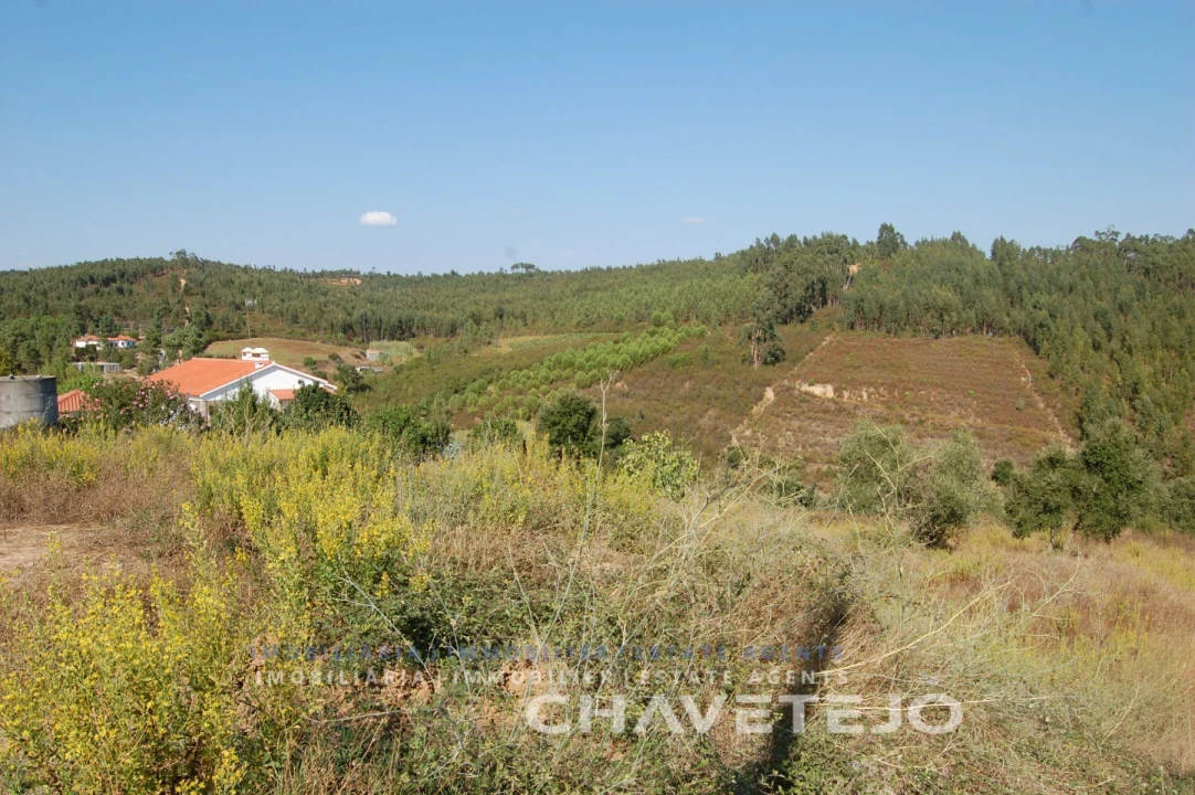 Terreno para Venda em São Pedro de Tomar Foto 6