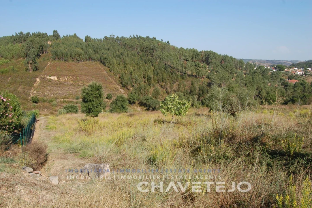 Terreno para Venda em São Pedro de Tomar Foto 7