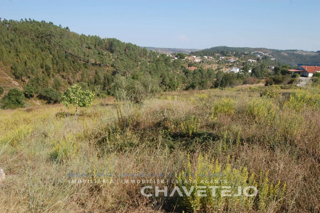 Terreno para Venda em São Pedro de Tomar Foto 8