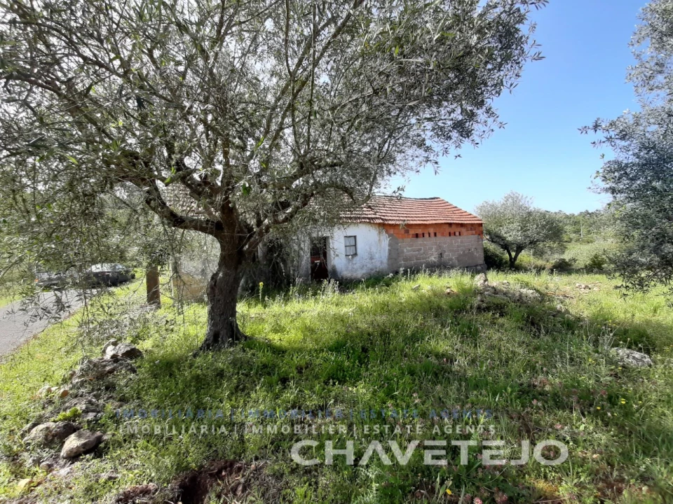 Moradia T3 para Venda em Freixianda, Ribeira do Fárrio e Formigais Foto 17