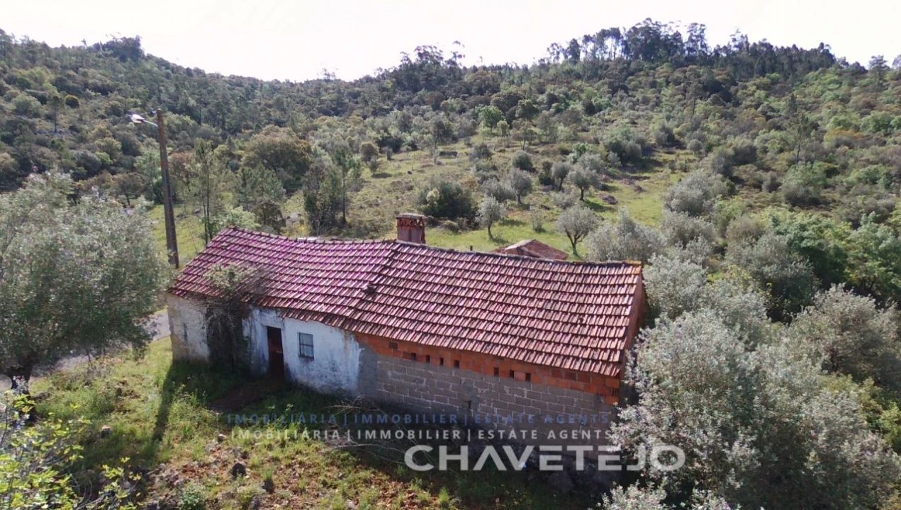 Moradia T3 para Venda em Freixianda, Ribeira do Fárrio e Formigais Foto 1