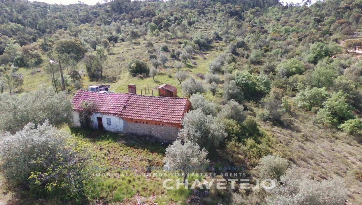 Moradia T3 para Venda em Freixianda, Ribeira do Fárrio e Formigais Foto 19