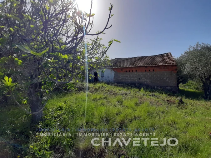 Moradia T3 para Venda em Freixianda, Ribeira do Fárrio e Formigais Foto 18