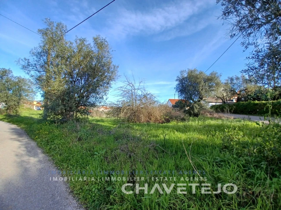 Terreno para Venda em Serra e Junceira Foto 5