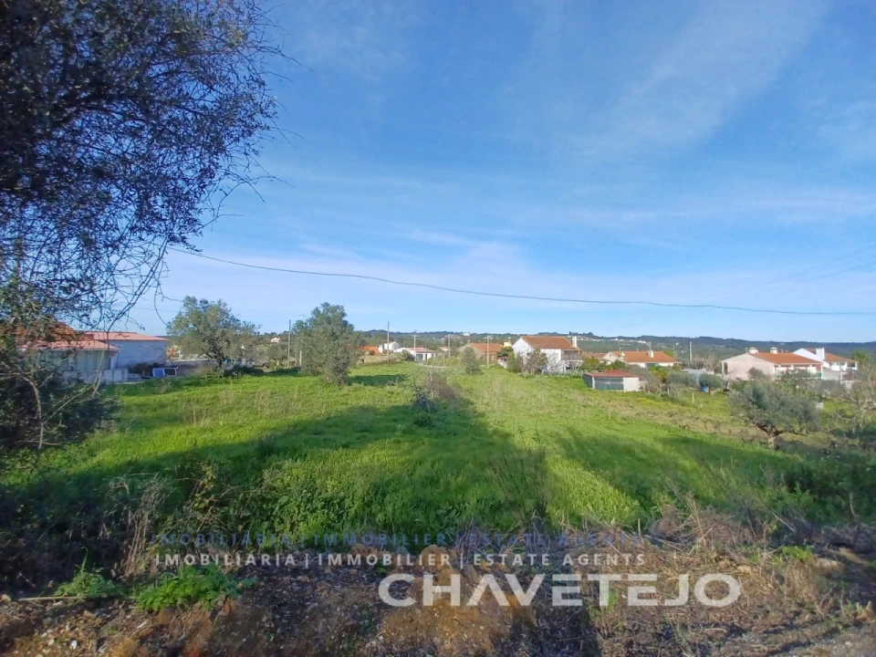 Terreno para Venda em Serra e Junceira Foto 9