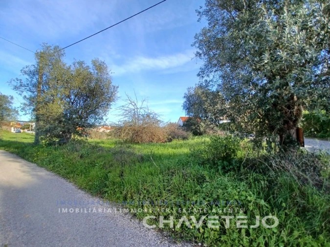Terreno para Venda em Serra e Junceira Foto 8