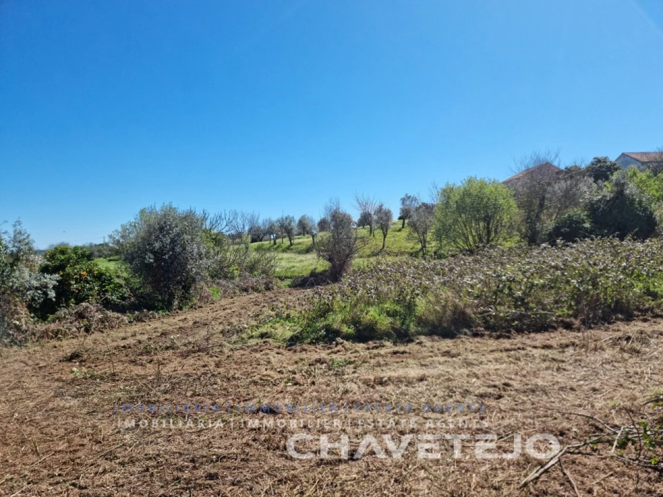 Moradia T2 para Venda em Beco Foto 23