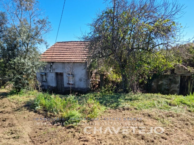 Moradia T2 para Venda em Beco Foto 3