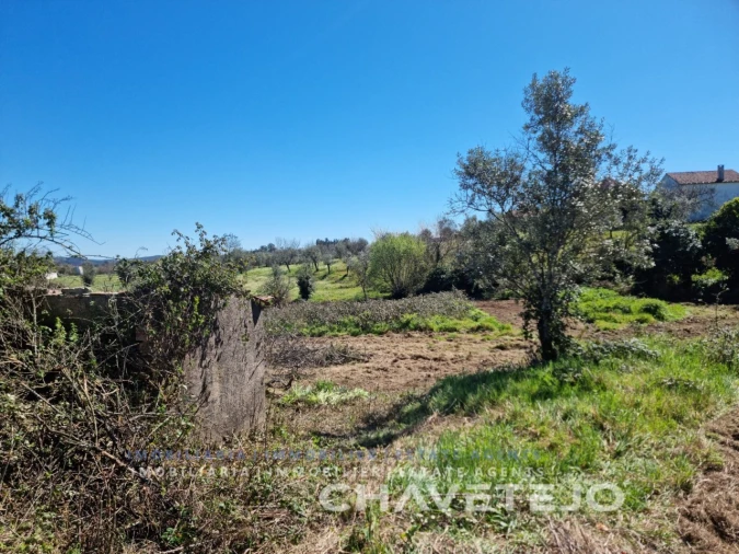 Moradia T2 para Venda em Beco Foto 22