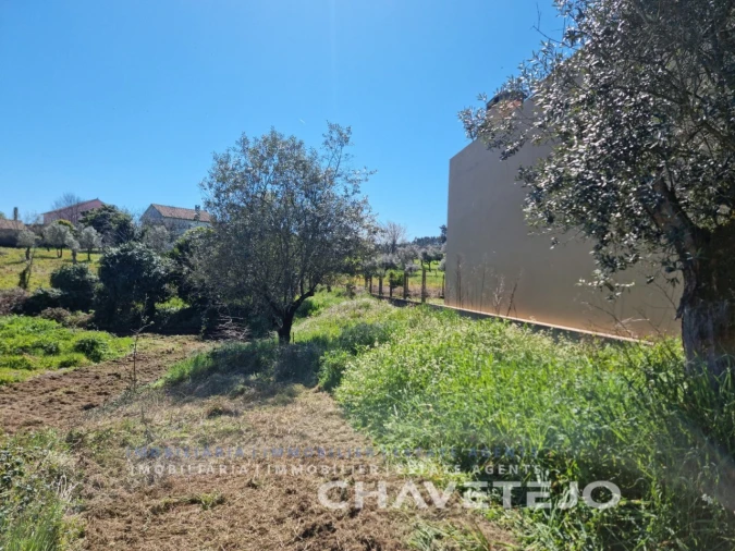 Moradia T2 para Venda em Beco Foto 24