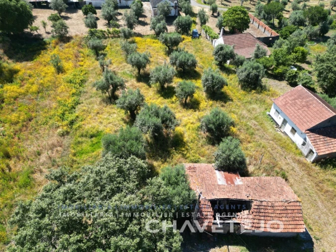 Terreno para Venda em Urqueira Foto 4