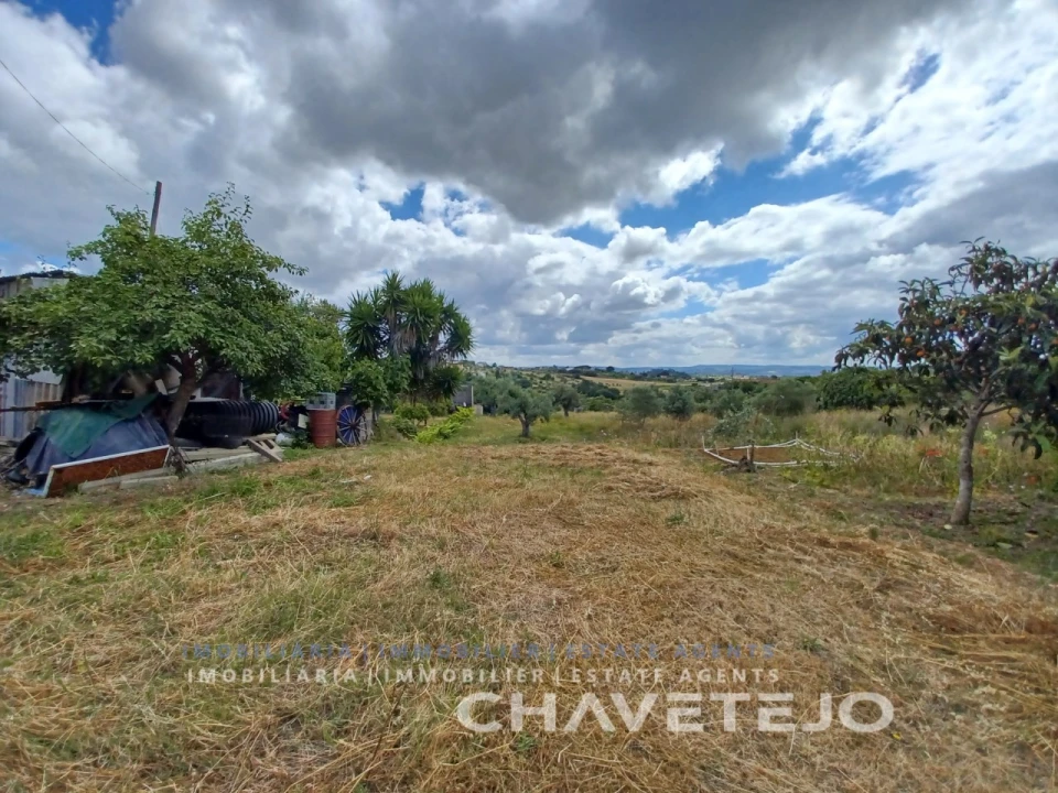 Terreno para Venda em Madalena e Beselga Foto 2