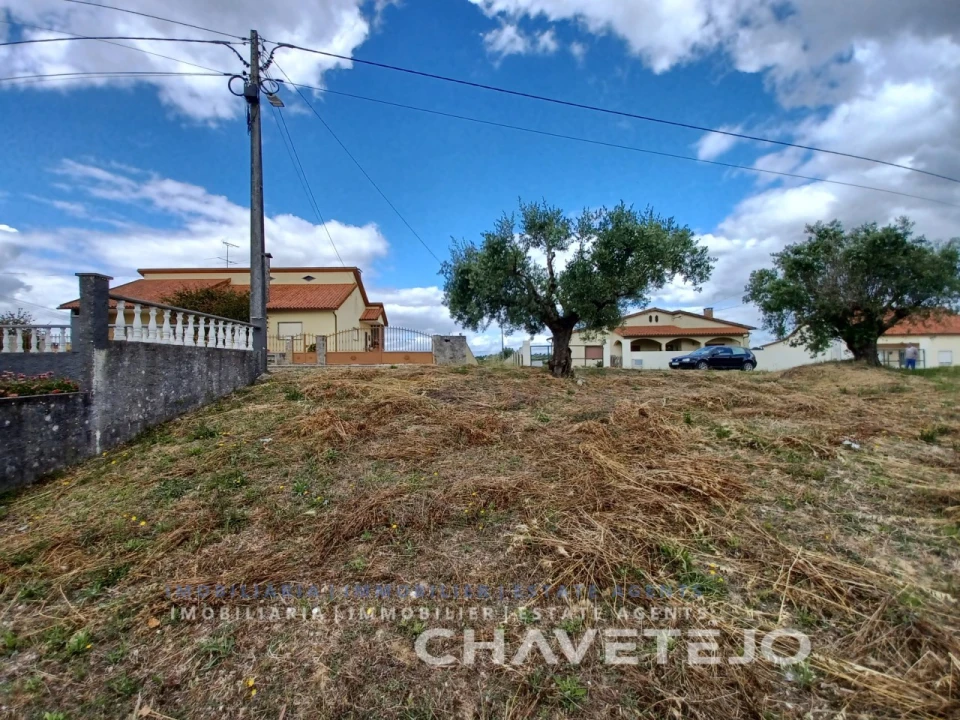 Terreno para Venda em Madalena e Beselga Foto 3