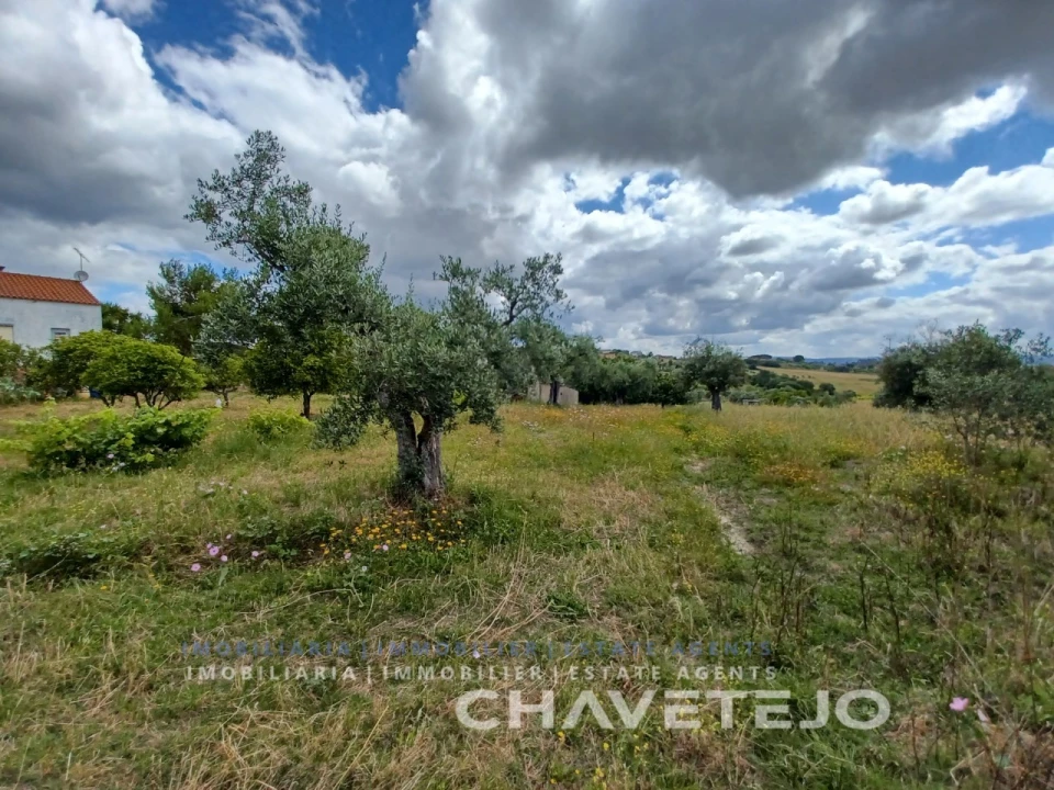 Terreno para Venda em Madalena e Beselga Foto 5
