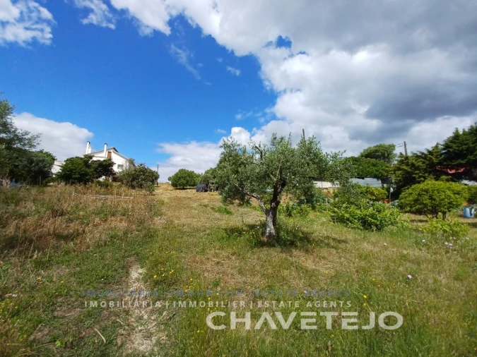 Terreno para Venda em Madalena e Beselga Foto 1