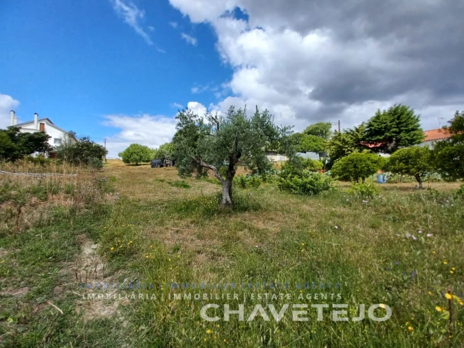 Terreno para Venda em Madalena e Beselga Foto 4